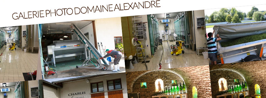 Site internet Domaine Alexandre Chablis - Agence LJ&C