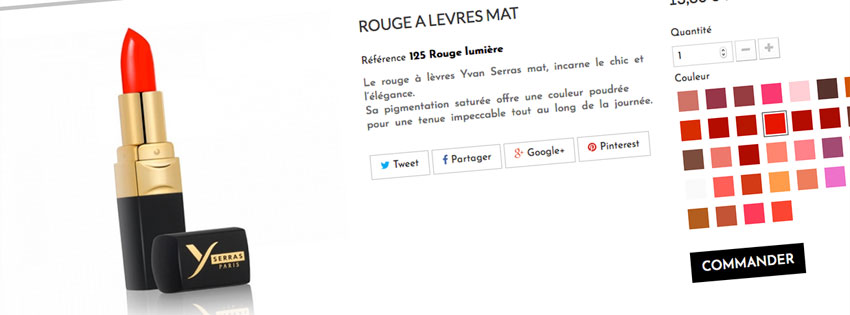 Site web e-commerce boutique en ligne Puisaye Yonne - Agence LJ&C