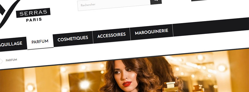 Site web e-commerce boutique en ligne Puisaye Yonne - Agence LJ&C