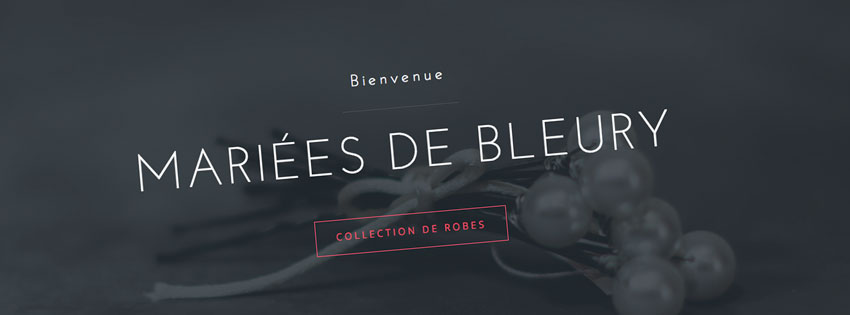 Site internet design LMB Bleury Yonne - Agence LJ&C